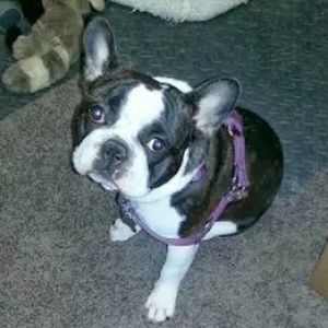 Meet your Posher, Angela